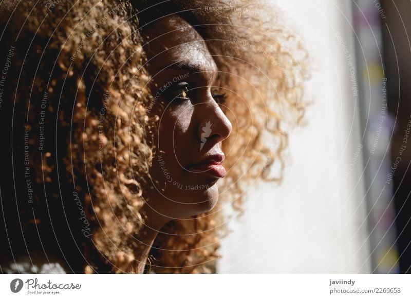 Nahaufnahme-Porträt einer jungen afroamerikanischen Frau mit Afrofrisur und grünen Augen elegant schön Haare & Frisuren Gesicht Mensch feminin Junge Frau