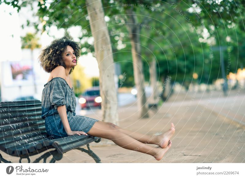 Barfuß schwarze Frau mit Afro-Frisur, die auf einer Bank sitzt. Lifestyle Stil schön Haare & Frisuren Mensch feminin Junge Frau Jugendliche Erwachsene 1