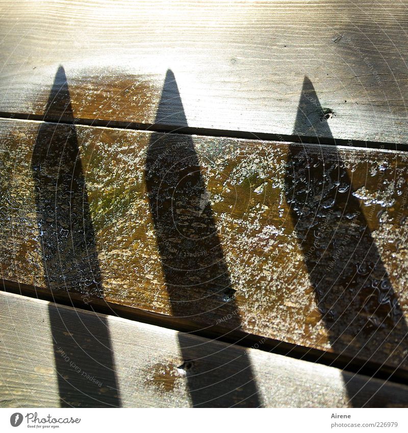 Strichliste Wassertropfen Balkon Bodenplatten Geländer Holzfußboden Pfütze Zeichen Linie Holzpfahl glänzend nass Spitze braun grau weiß Aggression Ordnung