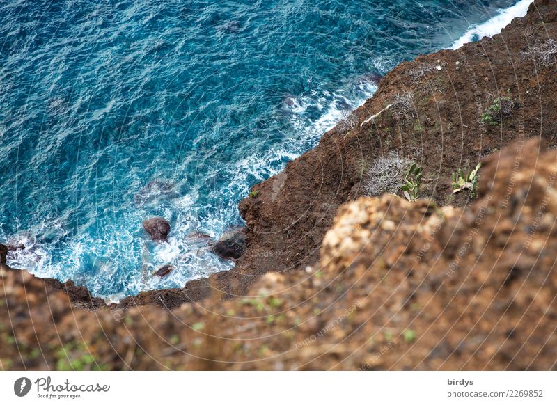 Steilküste auf Madeira, Blick von oben auf den Atlantik Meer Felsen Wellen Küste Urelemente Riff Insel maritim blau braun ästhetisch Natur Risiko Vulkaninsel