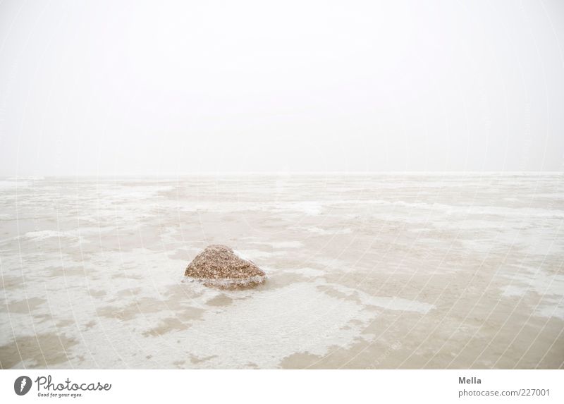 Eis bricht Stein Umwelt Natur Landschaft Urelemente Winter Klima Klimawandel Wetter Nebel Frost Küste Nordsee Meer hell kalt Einsamkeit Ferne gefroren Farbfoto