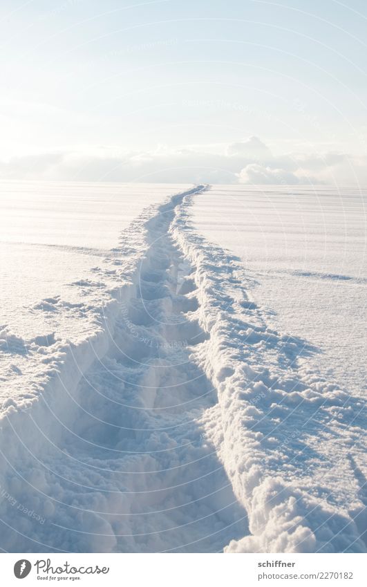 Himmelsweg Umwelt Natur Wolken Sonnenlicht Winter Eis Frost Schnee Hügel weiß Spuren Spurrinne Wege & Pfade wegweisend Schneefall Schneelandschaft