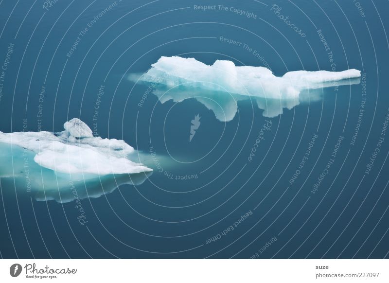 Schwimmer Meer Umwelt Natur Klima Eis Frost kalt blau Island schmelzen Jökulsárlón Eissee Polarmeer Klarheit Eisscholle ruhig Wasseroberfläche Farbfoto