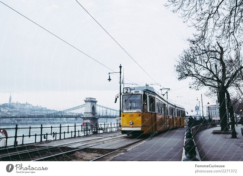 Tram in Budapest next to Danube (Donau) Verkehr Verkehrsmittel Verkehrswege Personenverkehr Öffentlicher Personennahverkehr Berufsverkehr Bahnfahren