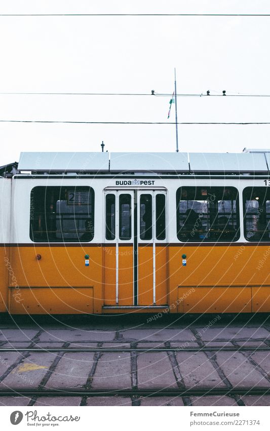 Tram in Budapest Verkehr Verkehrsmittel Personenverkehr Öffentlicher Personennahverkehr Berufsverkehr Straßenverkehr Bahnfahren gelb Gleise Straßenbahn Ungarn