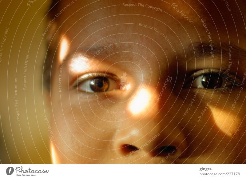 LichtBlick (Jungen-Portrait mit Lichtreflexion - Ausschnitt) Wohlgefühl Zufriedenheit Mensch maskulin Kindheit Jugendliche Gesicht Auge Nase 1 8-13 Jahre