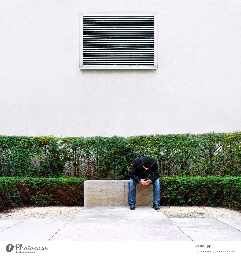 arte - sendeschluss Lifestyle maskulin Mann Erwachsene 1 Mensch Pflanze Sträucher Garten Park Jeanshose Jacke Mütze sitzen Lüftung Streifen Buchsbaum Hecke