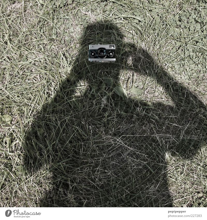 Blick in die Kamera Fotokamera maskulin 1 Mensch Gras Wiese grau grün Fotografieren Außenaufnahme Nahaufnahme Tag Schatten Kontrast Oberkörper außergewöhnlich