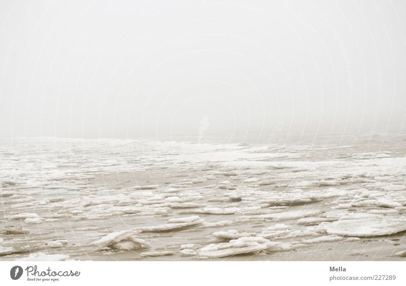 Eisland Umwelt Natur Landschaft Winter Klima Wetter Nebel Frost Küste Nordsee Meer kalt trist grau Stimmung Einsamkeit ruhig Eisscholle gefroren Farbfoto