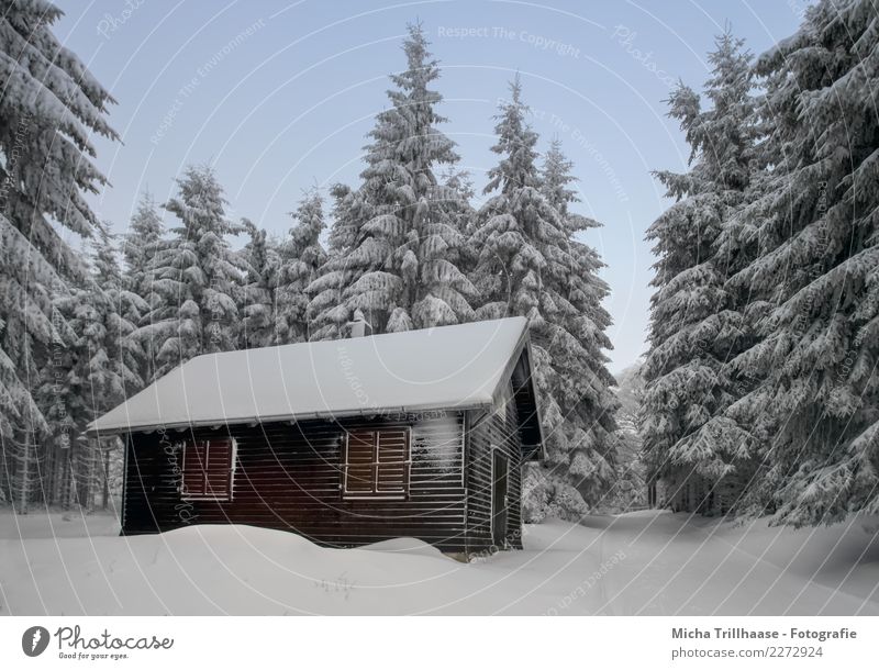 Hütte im verschneiten Wald Ferien & Urlaub & Reisen Tourismus Winter Schnee Winterurlaub wandern Haus Wintersport Skifahren Rodeln Natur Landschaft Himmel
