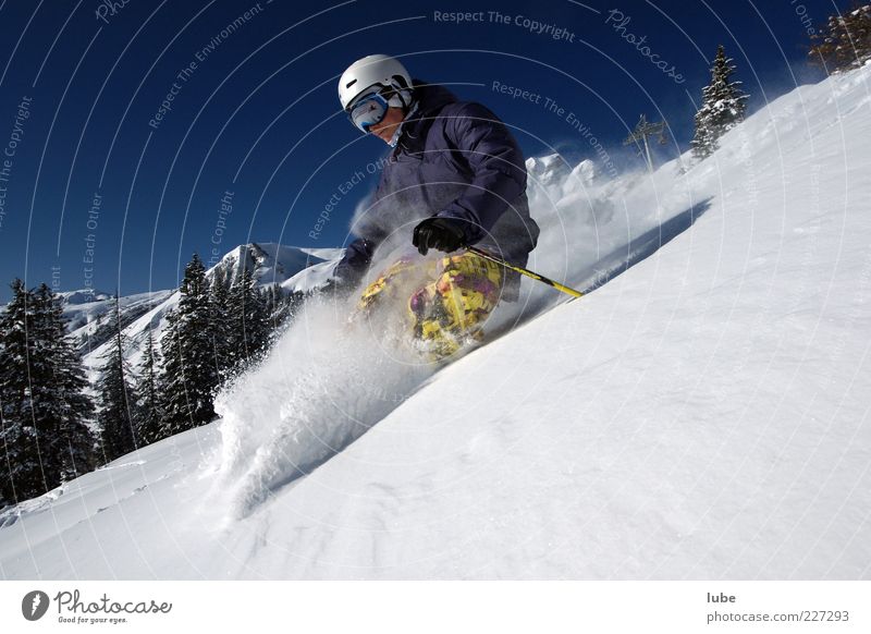 Tiefschneerausch Ferien & Urlaub & Reisen Tourismus Freiheit Winter Schnee Winterurlaub Berge u. Gebirge Wintersport Skier 1 Mensch Natur Landschaft