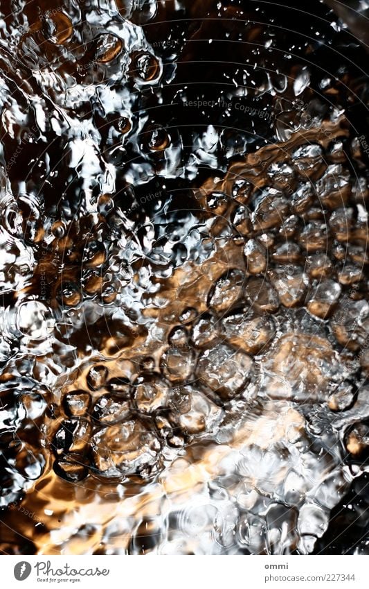 Etwas Wasser frisch kalt nass Sauberkeit wild authentisch Bewegung sprudelnd Blase Flüssigkeit Innenaufnahme Nahaufnahme Detailaufnahme abstrakt
