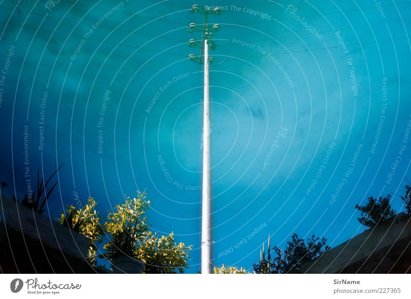 154 [kopfüber in den Pool neben der Straße geschaut] Kabel Telekommunikation Wasser Himmel Wolken Strommast Telefonmast authentisch außergewöhnlich trashig blau