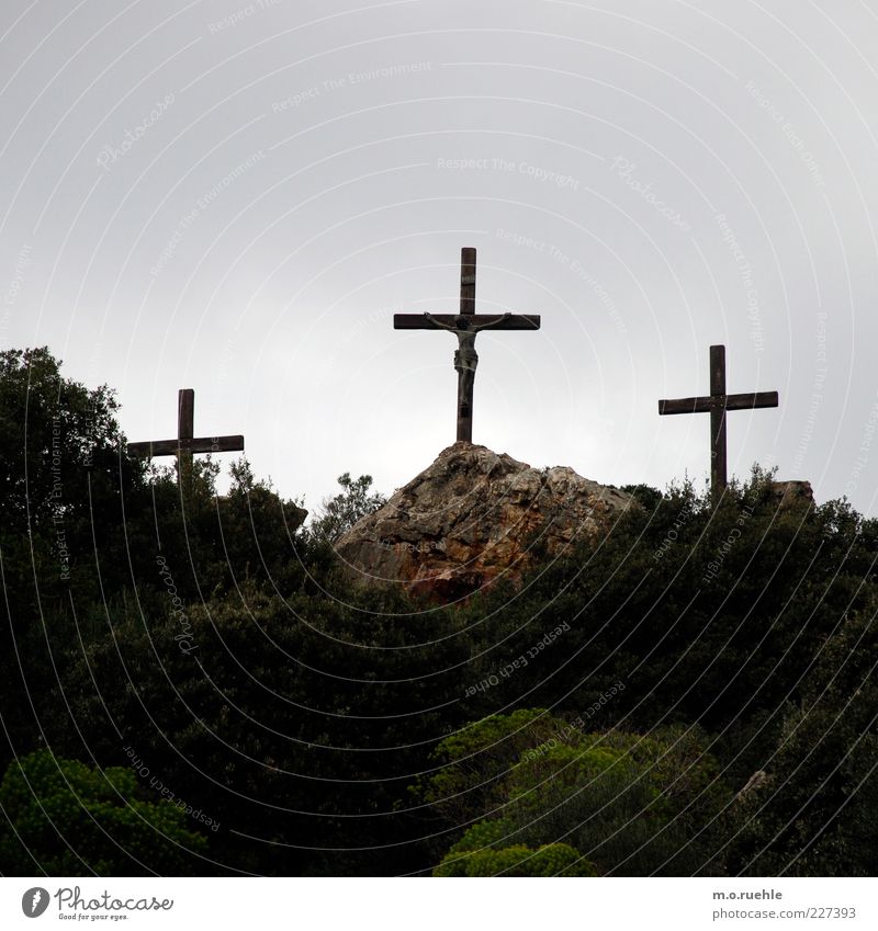 Trinitas Umwelt Natur Landschaft Himmel Sträucher Zeichen Kruzifix Christliches Kreuz Christentum Glaube Jesus Christus historisch Kraft Vertrauen Sympathie