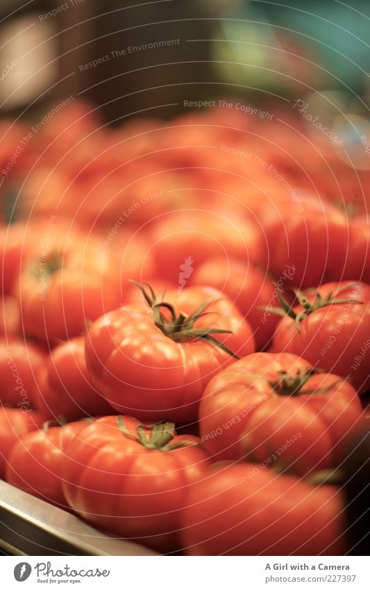 it's time to tomato Lebensmittel Gemüse Tomate Bioprodukte liegen rund rot reif Markt Farbfoto Innenaufnahme Menschenleer Schwache Tiefenschärfe viele frisch