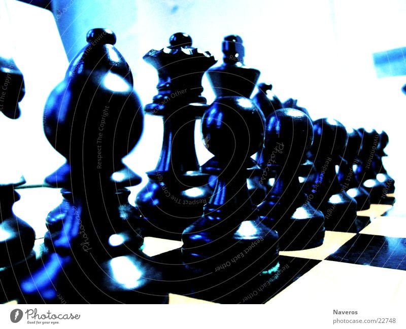 Schachfiguren weiß schwarz Spielen planen Brettspiel Freizeit & Hobby Chess Denken Verstand Reihe Dame König Startposition Makroaufnahme