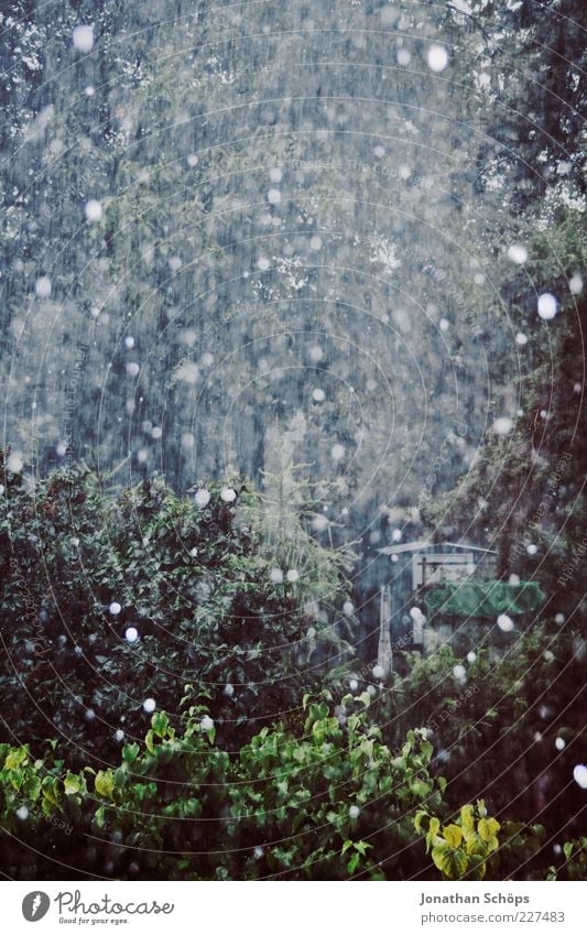 Schnee/Regen Natur Luft Wassertropfen Herbst Winter Klima Wetter schlechtes Wetter Hagel Baum Sträucher Garten dunkel blau grau grün Traurigkeit Frustration