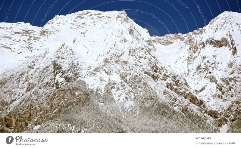 Steil,Kalt.Extrem cool,einfach lässig Natur Landschaft Himmel Wolkenloser Himmel Schnee Hügel Felsen Alpen Berge u. Gebirge Gipfel Schneebedeckte Gipfel blau