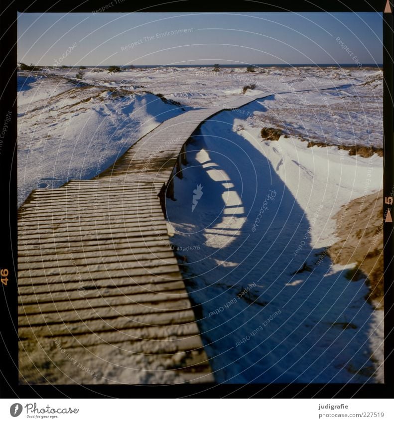 Darßer Ort Umwelt Natur Landschaft Himmel Winter Klima Eis Frost Schnee Küste Ostsee kalt natürlich Stimmung Wege & Pfade Steg Holz Holzweg Farbfoto