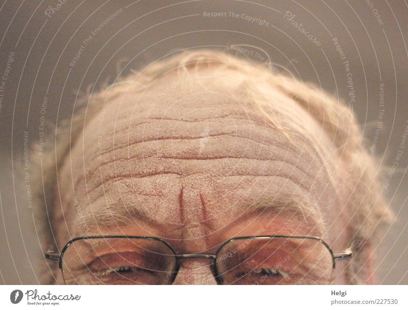 Stirn, Haare und Augen mit Brille eines männlichen Seniors sind mit Staub bedeckt Mensch maskulin Mann Erwachsene Männlicher Senior Leben Haut Kopf
