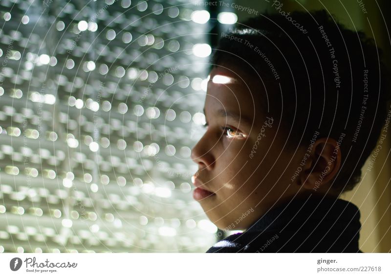 Licht + Einfall = Nachdenklichkeit (nachdenklicher Junge) Mensch maskulin Kindheit Jugendliche Leben Kopf Gesicht 1 8-13 Jahre Denken Blick Traurigkeit dunkel