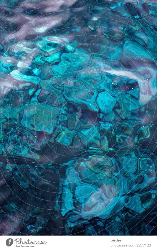 Madeira blue 2 Meer Wasser Riff Korallenriff Stein ästhetisch außergewöhnlich frisch maritim positiv schön blau türkis Design Farbe rein Hintergrundbild