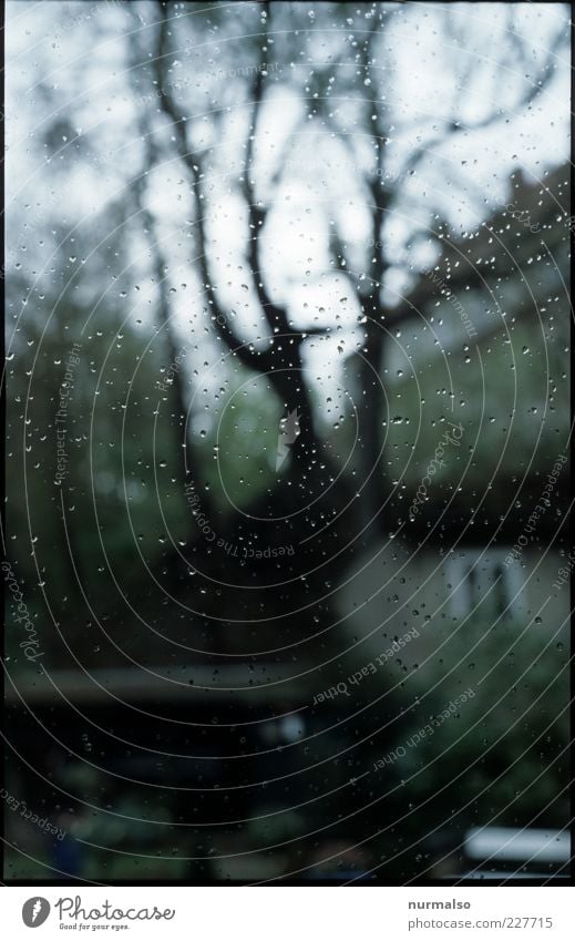 Tropfen auf dem Fenster Umwelt Natur Landschaft schlechtes Wetter Regen Baum Garten Haus glänzend kalt nass trashig trist Stimmung bizarr Einsamkeit