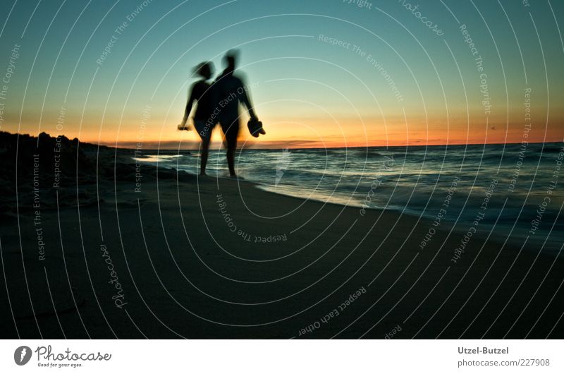 Strandspaziergang Mensch Familie & Verwandtschaft Freundschaft 2 Natur Wasser Wolkenloser Himmel Ostsee Erholung laufen wandern sportlich Fröhlichkeit