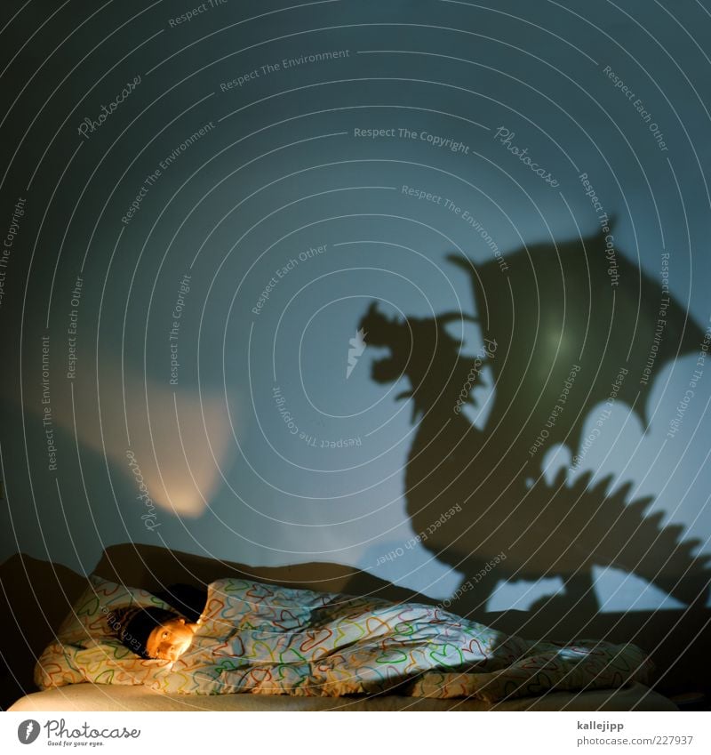 dragondream Bett Schlafzimmer Mensch maskulin Mann Erwachsene 1 Tier Wildtier Zeichen schlafen träumen dunkel Überraschung Angst Entsetzen Todesangst Drache