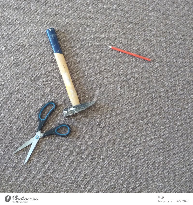 der letzte Schliff.... Arbeit & Erwerbstätigkeit Handwerker Schere Hammer Bleistift Teppich Holz Metall gebrauchen liegen einfach blau braun grau rot schwarz