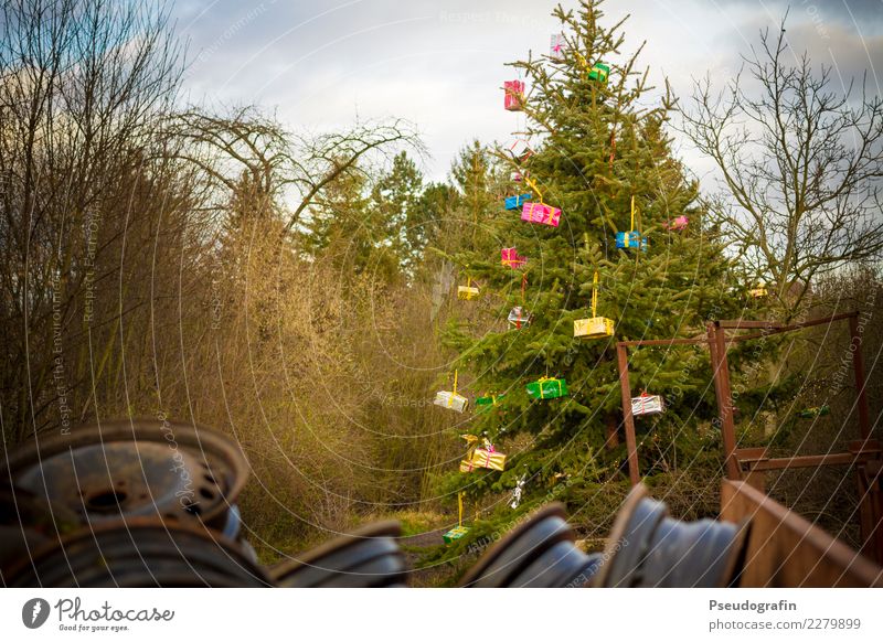 Weihnachts-Idylle Dekoration & Verzierung Weihnachten & Advent Winter Baum Dorf Stadtrand alt außergewöhnlich hässlich einzigartig trashig Vorfreude bizarr