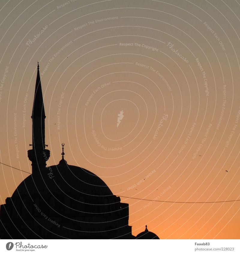 1001 Nacht Kunstwerk Sonnenaufgang Sonnenuntergang Istanbul Türkei Kirche Bauwerk Architektur Sehenswürdigkeit Blaue Moschee Hagia Sophia ruhig Sehnsucht