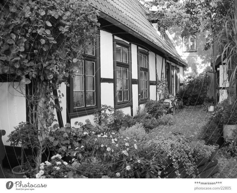 Fischerhaus in Warnemünde Badeort Vorgarten Rostock Mecklenburg-Vorpommern Haus Fachwerkfassade Deutschland hansestadt alter strom fischerhaus fischerhus