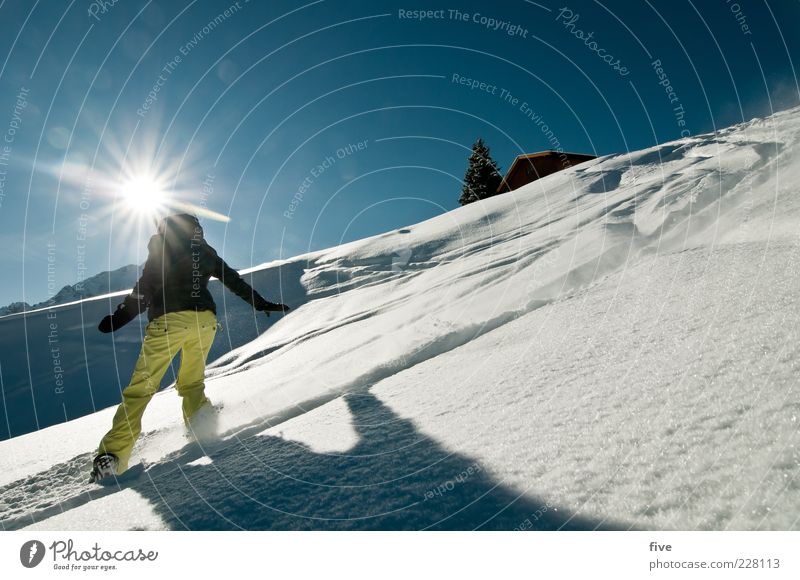 sonnenseite Sport Wintersport Skipiste Frau Erwachsene Natur Landschaft Himmel Wolkenloser Himmel Sonne Schönes Wetter Schnee Hügel Alpen Berge u. Gebirge
