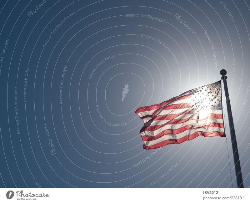 Amerika entdeckt die Sonne Lifestyle Freiheit USA Kalifornien Fahne Stars and Stripes Fahnenmast Himmel blau Blauer Himmel Farbfoto Außenaufnahme Tag