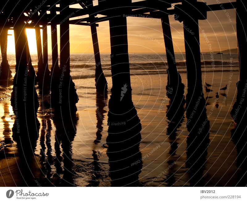 Santa Monica Pier Ferne Sand Wasser Himmel Sonne Sonnenaufgang Sonnenuntergang Sonnenlicht Wellen Küste Strand Meer Menschenleer Freiheit Anlegestelle Pazifik