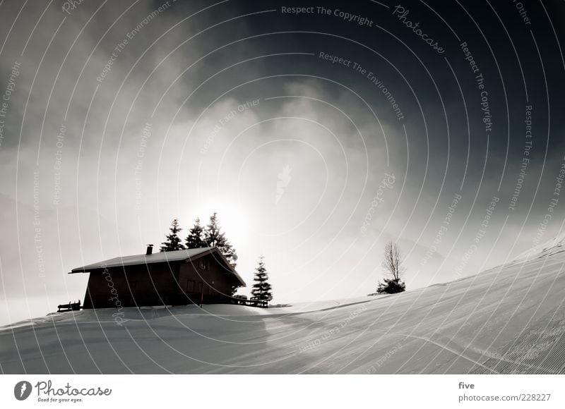 hütte Natur Landschaft Himmel Wolken Winter Wetter Nebel Schnee Pflanze Baum Hügel Alpen Berge u. Gebirge Haus Hütte hell kalt Stimmung Neuschnee Farbfoto