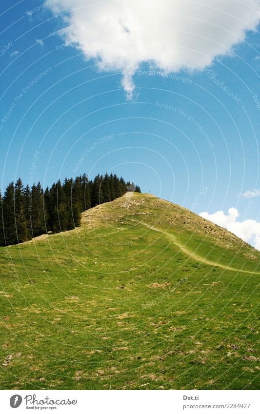 Hörnle Natur Landschaft Himmel Wolken Gras Wiese Wald Alpen Berge u. Gebirge Gipfel wandern blau grün Wege & Pfade Ziel Steigung Bayern alpin besteigen Fußweg