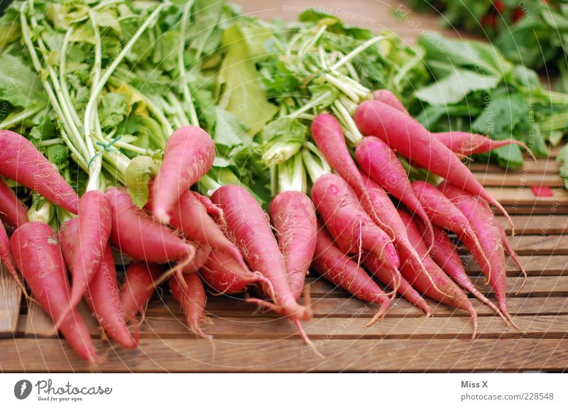 Rrroda Rrreddich Lebensmittel Gemüse Ernährung Bioprodukte Vegetarische Ernährung frisch lang lecker Spitze rot Ernte Rettich roter Rettich Wurzelgemüse