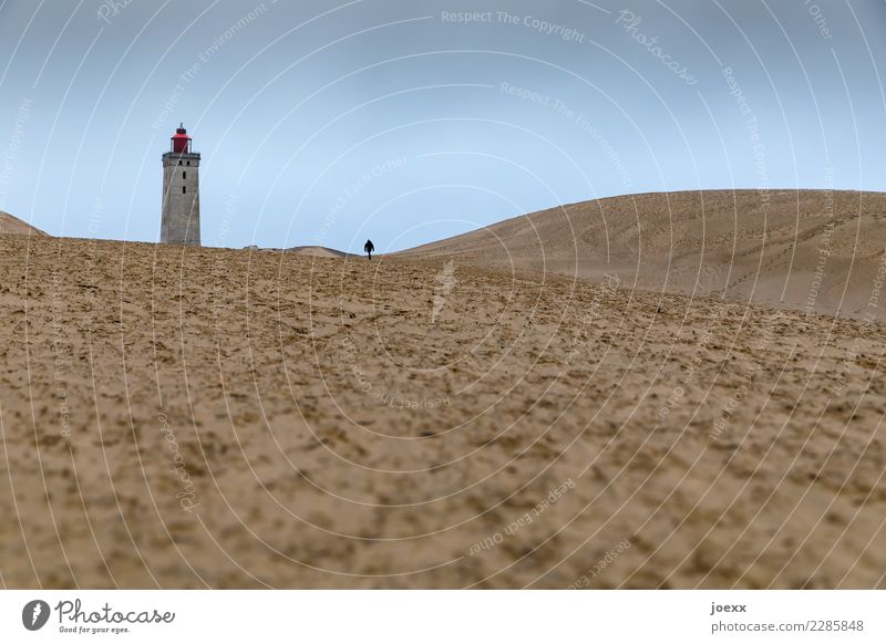 Einsamer Mensch geht auf Leuchtturm in weiter Dünenlandschaft zu. Ziel Zielstrebig Dänemark historisch Wege & Pfade alt Einsamkeit Sehenswürdigkeit Küste