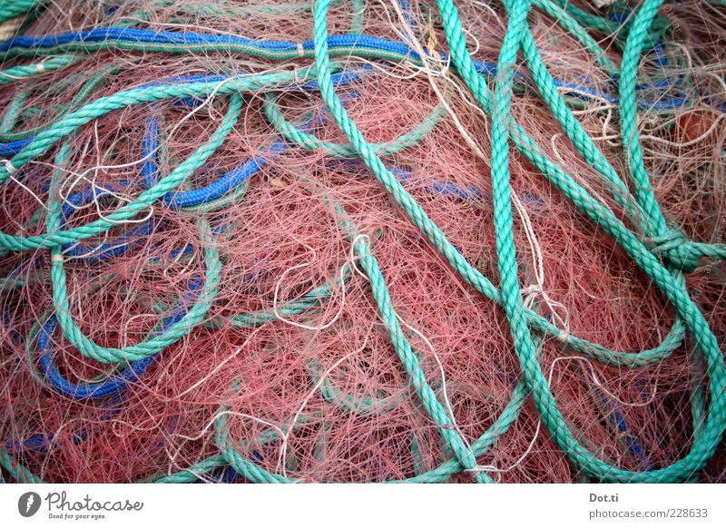 Fritz F. hat heute frei Netz Netzwerk blau rosa Fischernetz Seil durcheinander Schlaufe maritim Haufen Farbfoto Außenaufnahme Strukturen & Formen Menschenleer