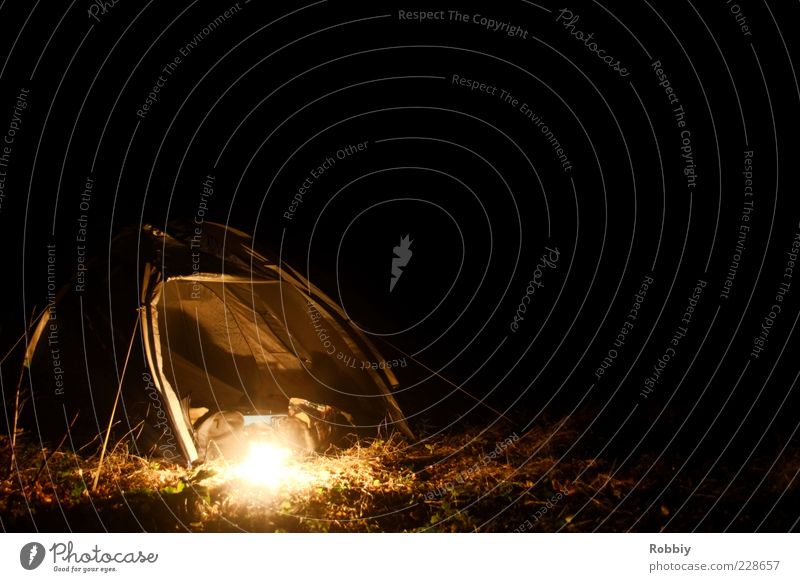 Zelten im Dunkelwald Freizeit & Hobby Ferien & Urlaub & Reisen Abenteuer Safari Expedition Camping dunkel Ferne frei ruhig Einsamkeit entdecken Erholung Natur