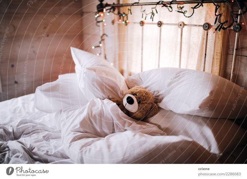 Teddy schläft unter Decke im Bett Spielzeug Teddybär schlafen niedlich Müdigkeit gemütlich Kinder reizvoll heimwärts im Innenbereich Farbfoto Innenaufnahme