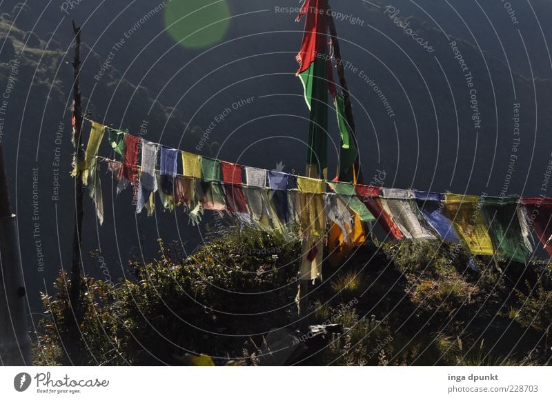Windpferd Lungta harmonisch Erholung ruhig Freiheit Expedition Nepal Buddhismus Religion & Glaube Gebetsfahnen Tibet Sonnenlicht Zeichen Asien grau Glück