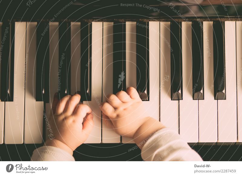 Kleinkind spielt mit zarten Händen Klavier musikalische früherziehung Klavier spielen Kind Baby niedlich wunderschön Warme Farbe wunderbar Kindheit