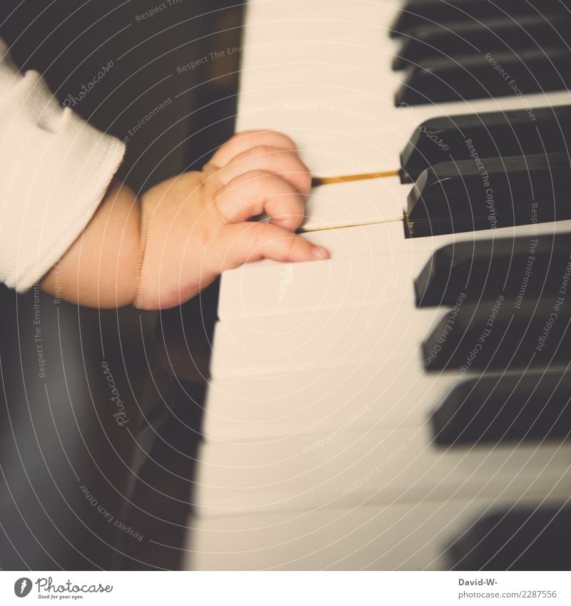 winzige Fingerchen berühren das erste mal ein Musikinstrument Hand Baby Kind Kleinkind niedlich Klavier Klavier spielen Klavierunterricht Musiker Spielen