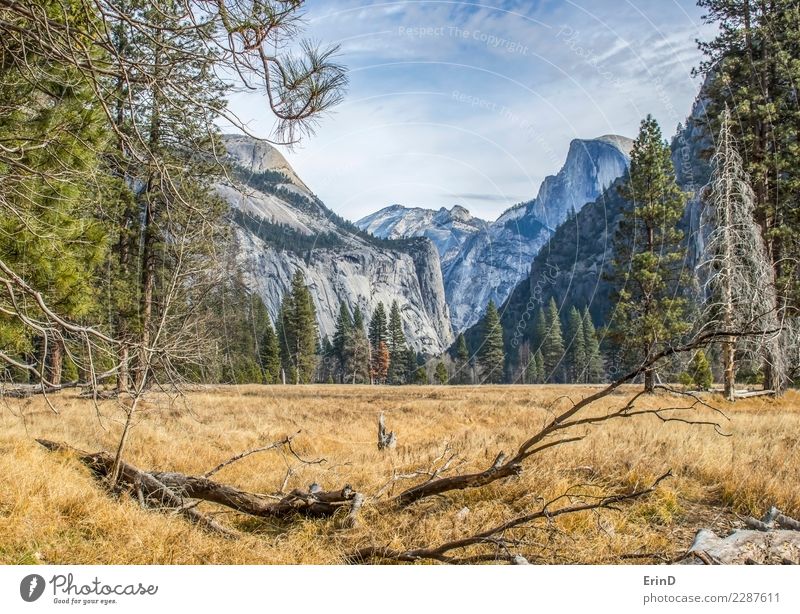 Wiese im Yosemite National Park mit Wald und Bergen schön ruhig Ferien & Urlaub & Reisen Tourismus Abenteuer Winter Berge u. Gebirge wandern Natur Landschaft