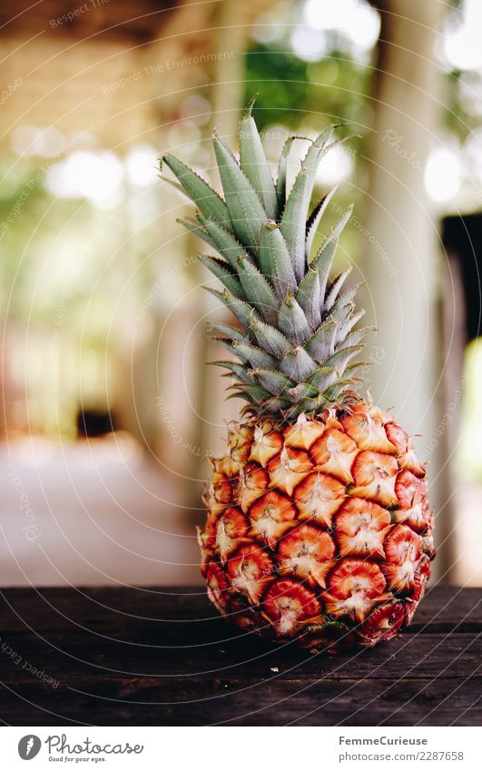 Pineapple on wooden table Ernährung Bioprodukte Vegetarische Ernährung Diät Ferien & Urlaub & Reisen Kuba Ananas Holztisch Sommer sommerlich Frucht Vitamin