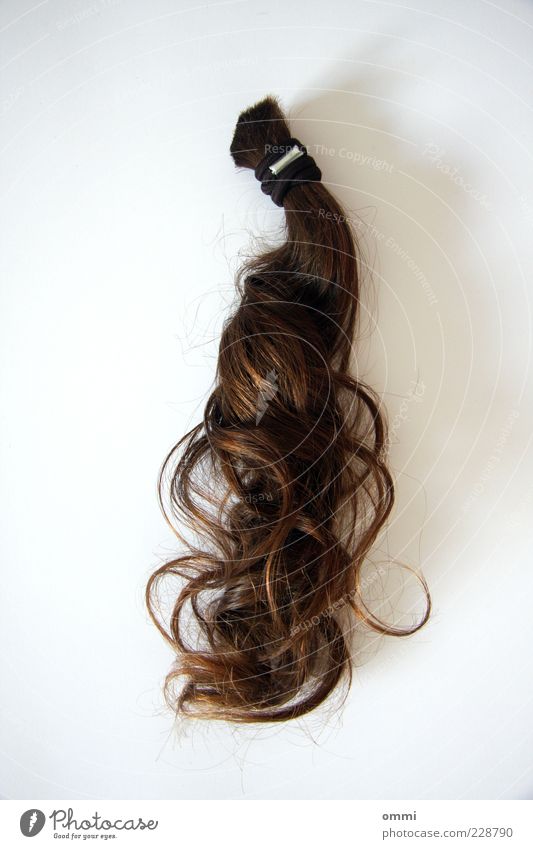 Ab mit dem Zopf! Haare & Frisuren brünett langhaarig Locken ästhetisch authentisch braun weiß Trennung Vergangenheit Wandel & Veränderung Haargummi