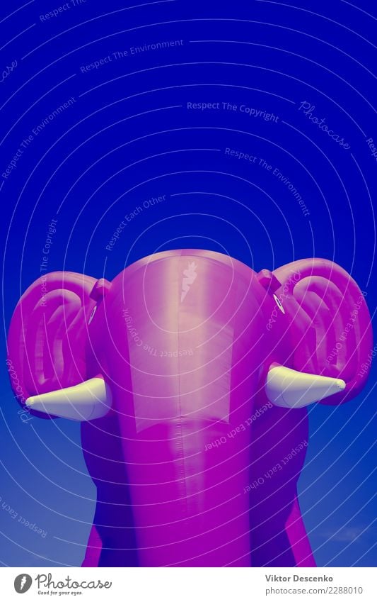 Rosa aufblasbarer Elefant Design Freude Glück schön Leben Spielen Dekoration & Verzierung Feste & Feiern Geburtstag Kind Business Kunst Straße Luftballon Herz